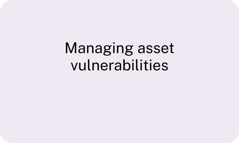 Managing asset vulnerabilities