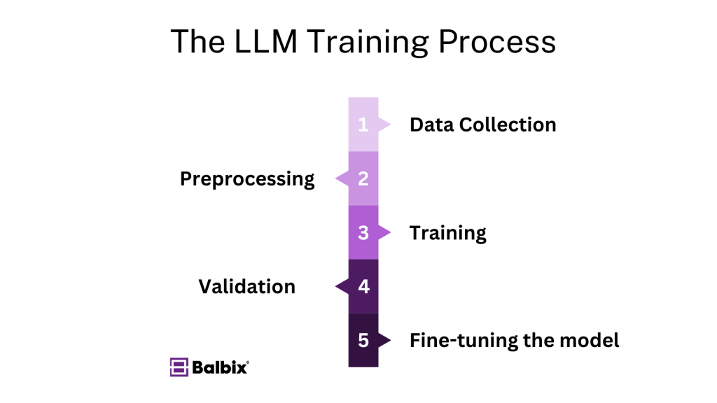 The LLM Training Process