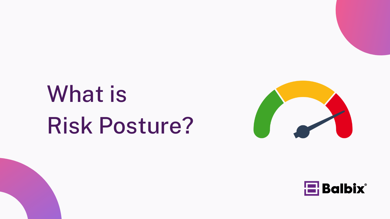 What is Risk Posture?