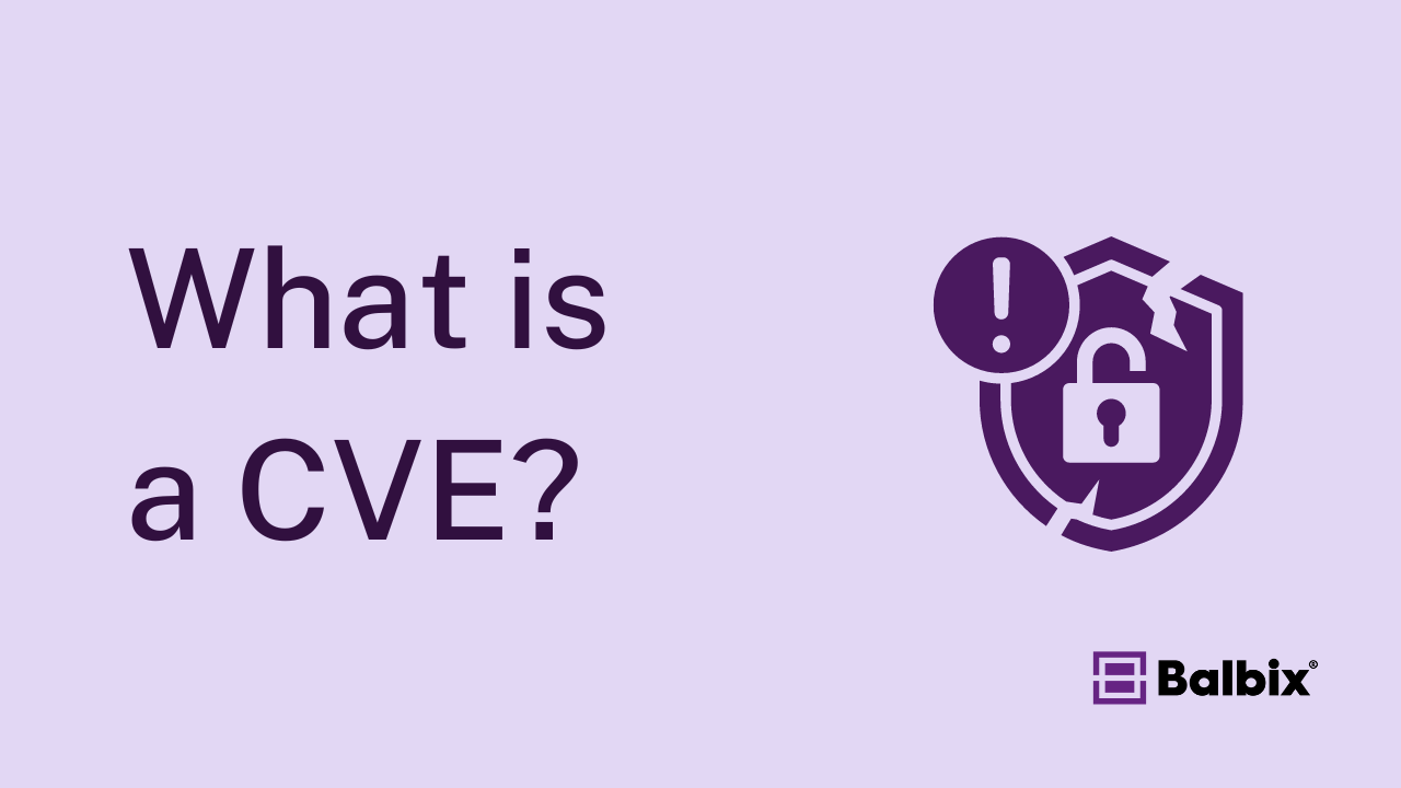 What is a CVE